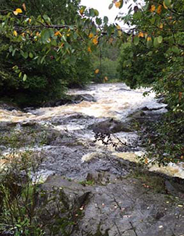 river3_blog4cropped