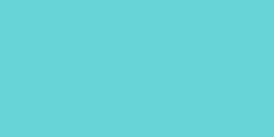 Rectangle 83