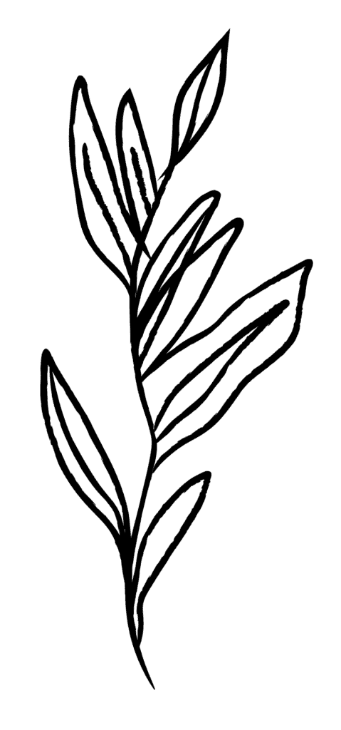 Travois Lineart Plant Black