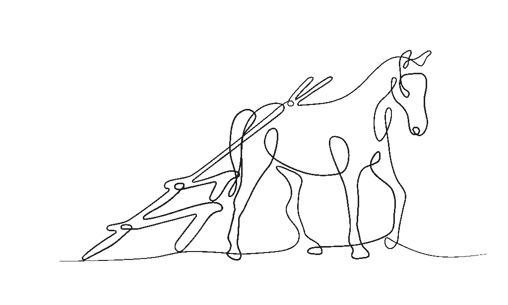 Horse And Travois