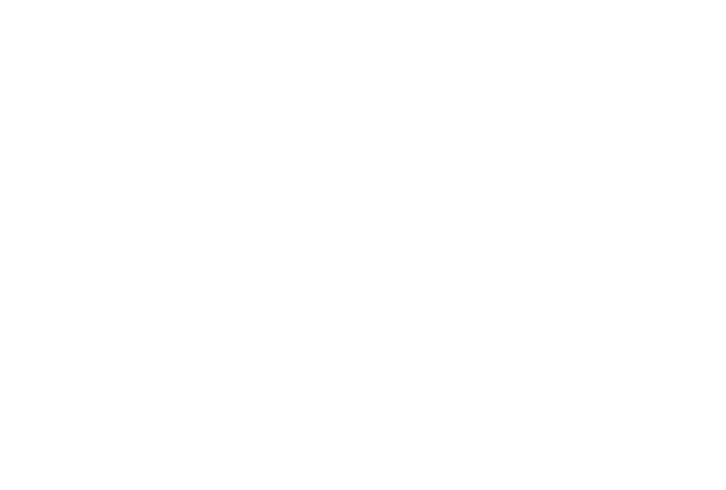 Sanfran Bridge 04